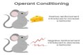 Is operant conditioning a theory?