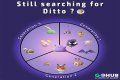 What can be a ditto in pokemon go