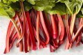 What is the flavor of rhubarb?