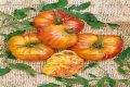What kind of tomato is the old German?