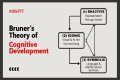 Who is the predominant theorist in cognitive development?